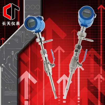 热式气体质量流量计（插入式）